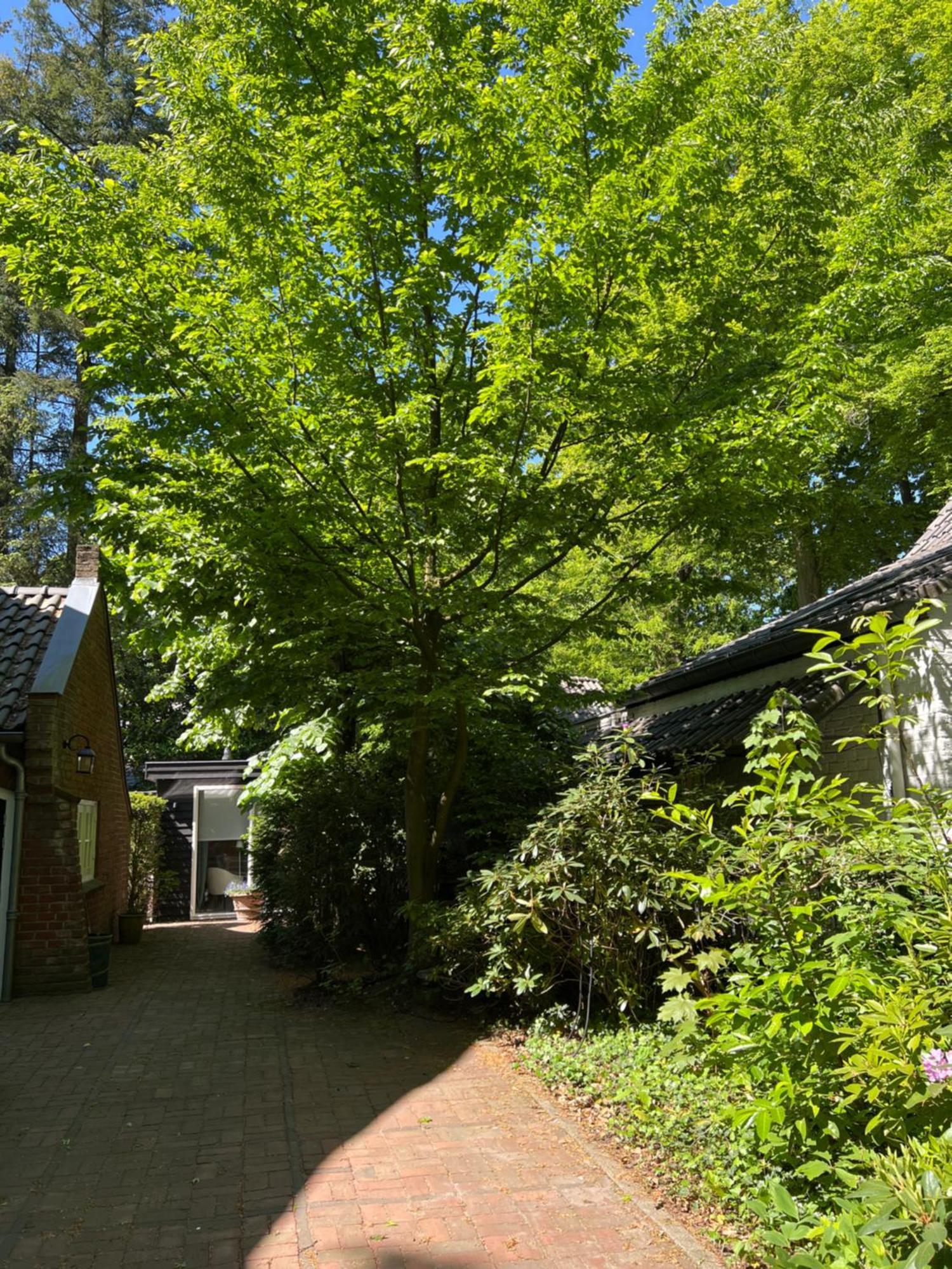 De Merel Vught Exterior foto